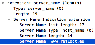 Field SNI of a TLS package, Wireshark